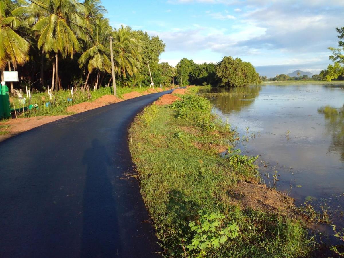 lake Edge Dambulla Bagian luar foto