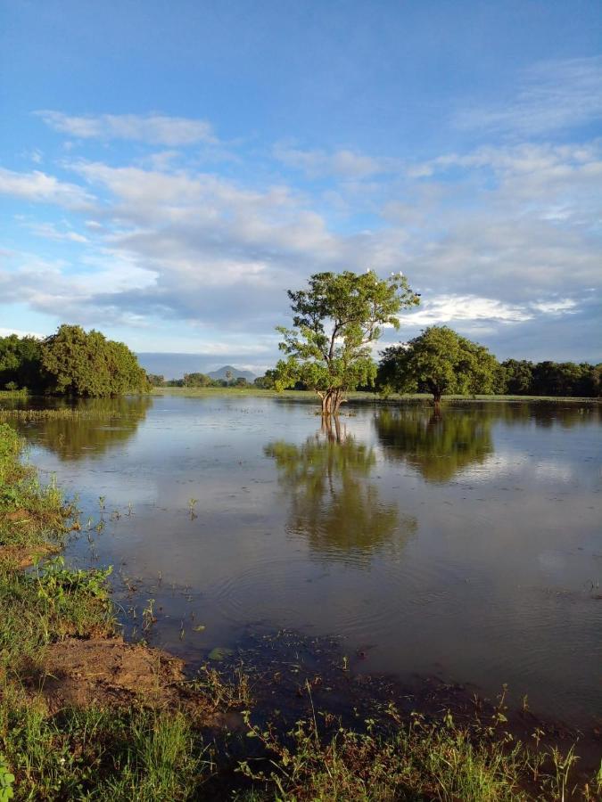 lake Edge Dambulla Bagian luar foto