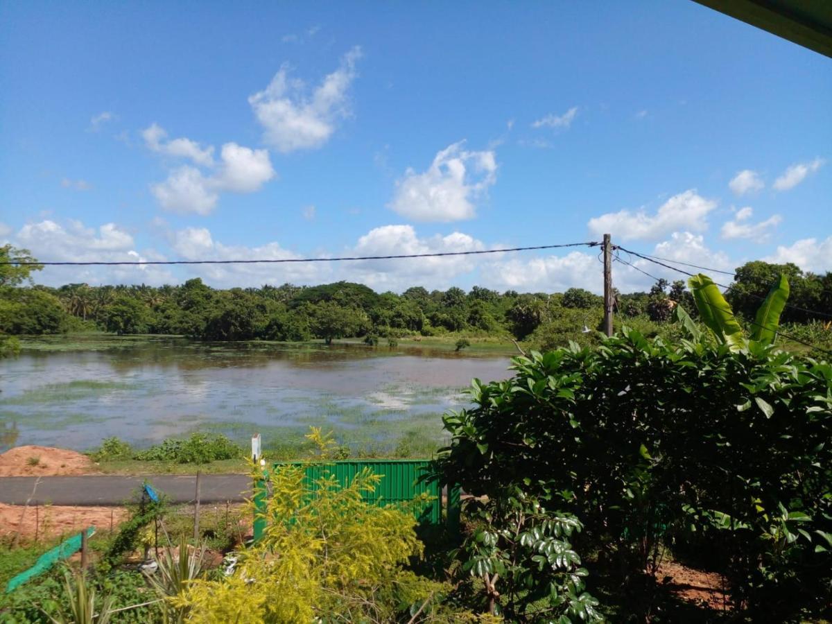 lake Edge Dambulla Bagian luar foto