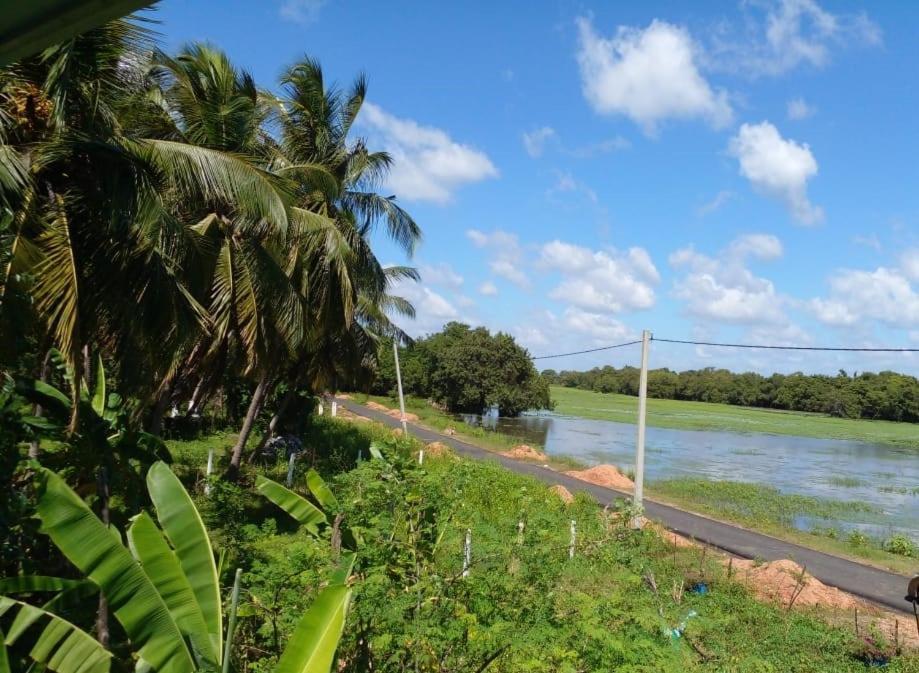 lake Edge Dambulla Bagian luar foto