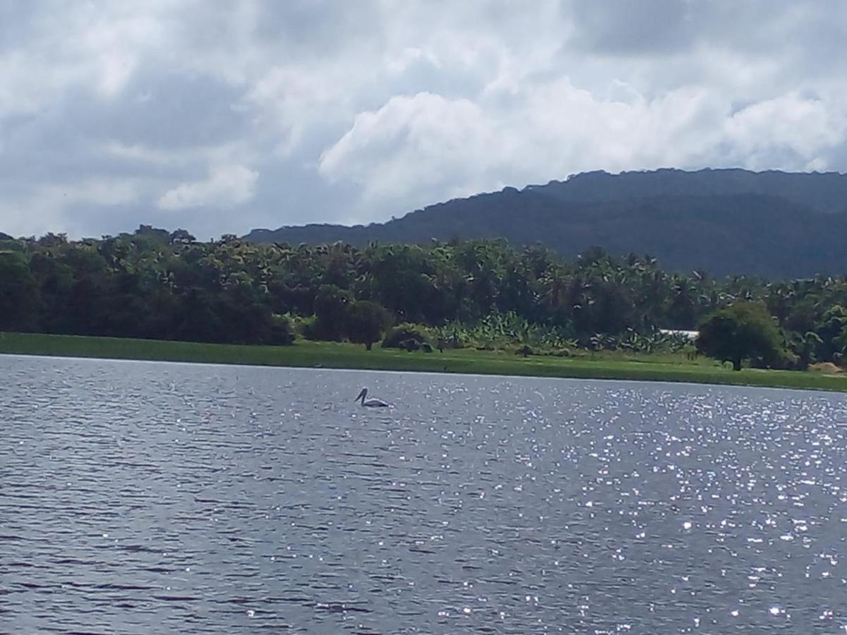 lake Edge Dambulla Bagian luar foto