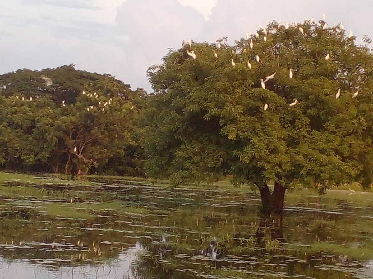 lake Edge Dambulla Bagian luar foto