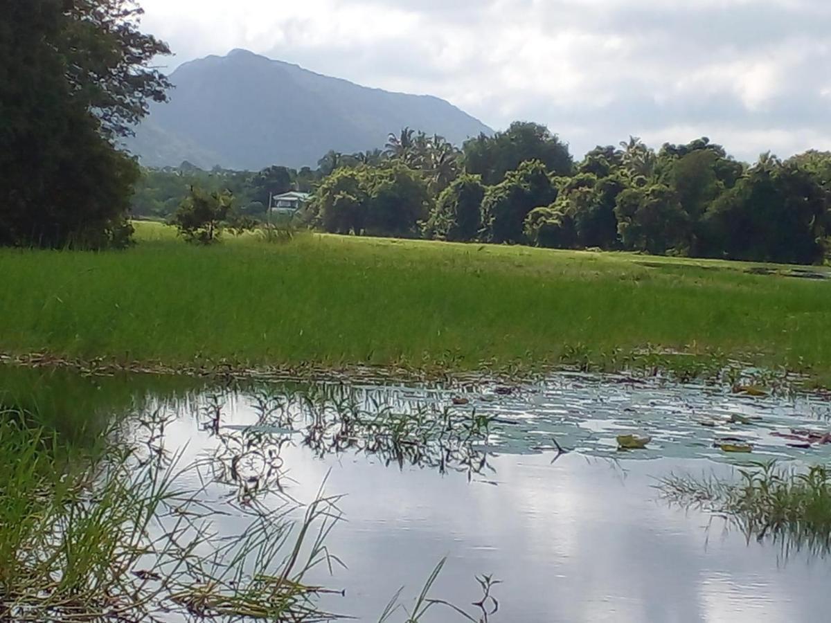 lake Edge Dambulla Bagian luar foto