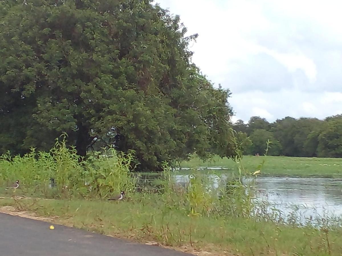 lake Edge Dambulla Bagian luar foto