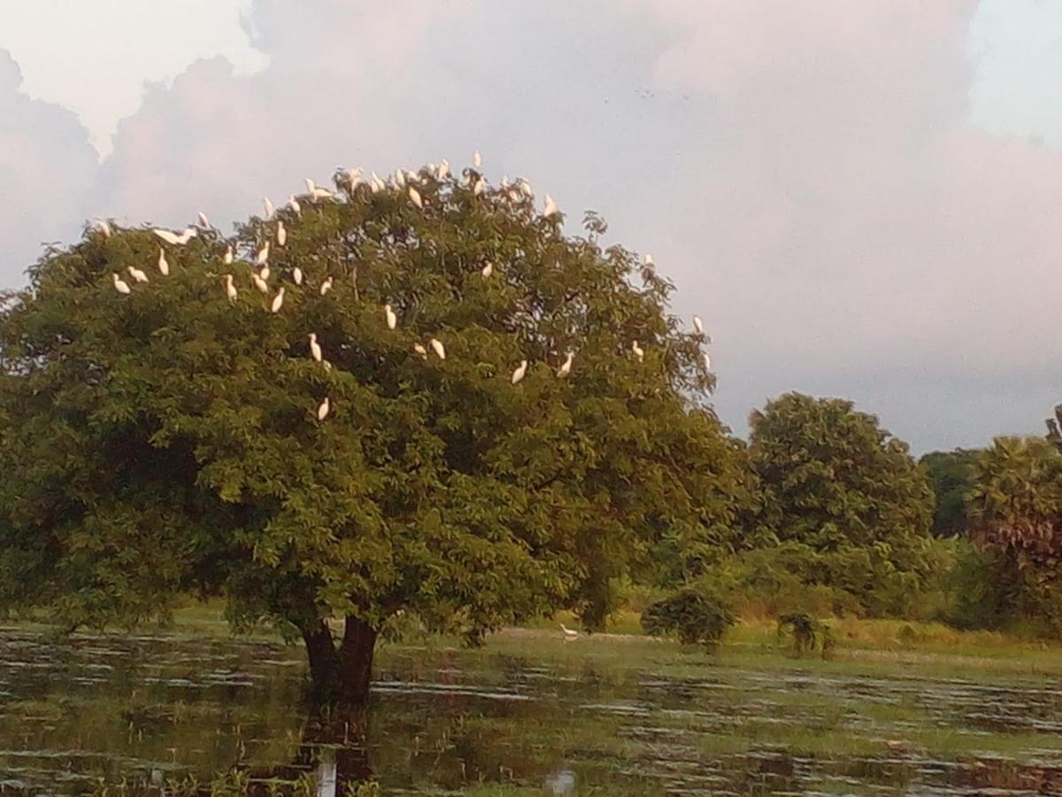 lake Edge Dambulla Bagian luar foto