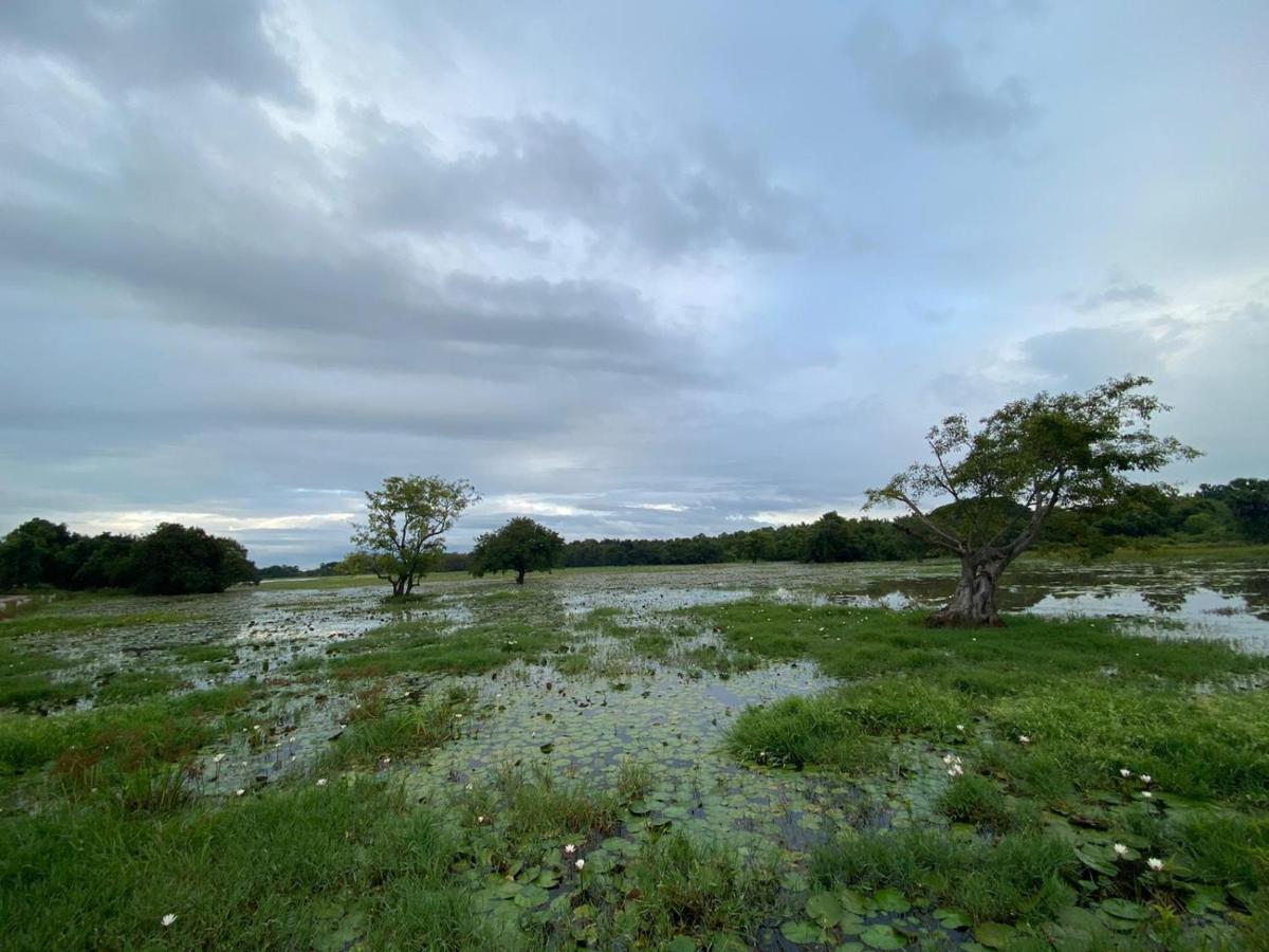 lake Edge Dambulla Bagian luar foto