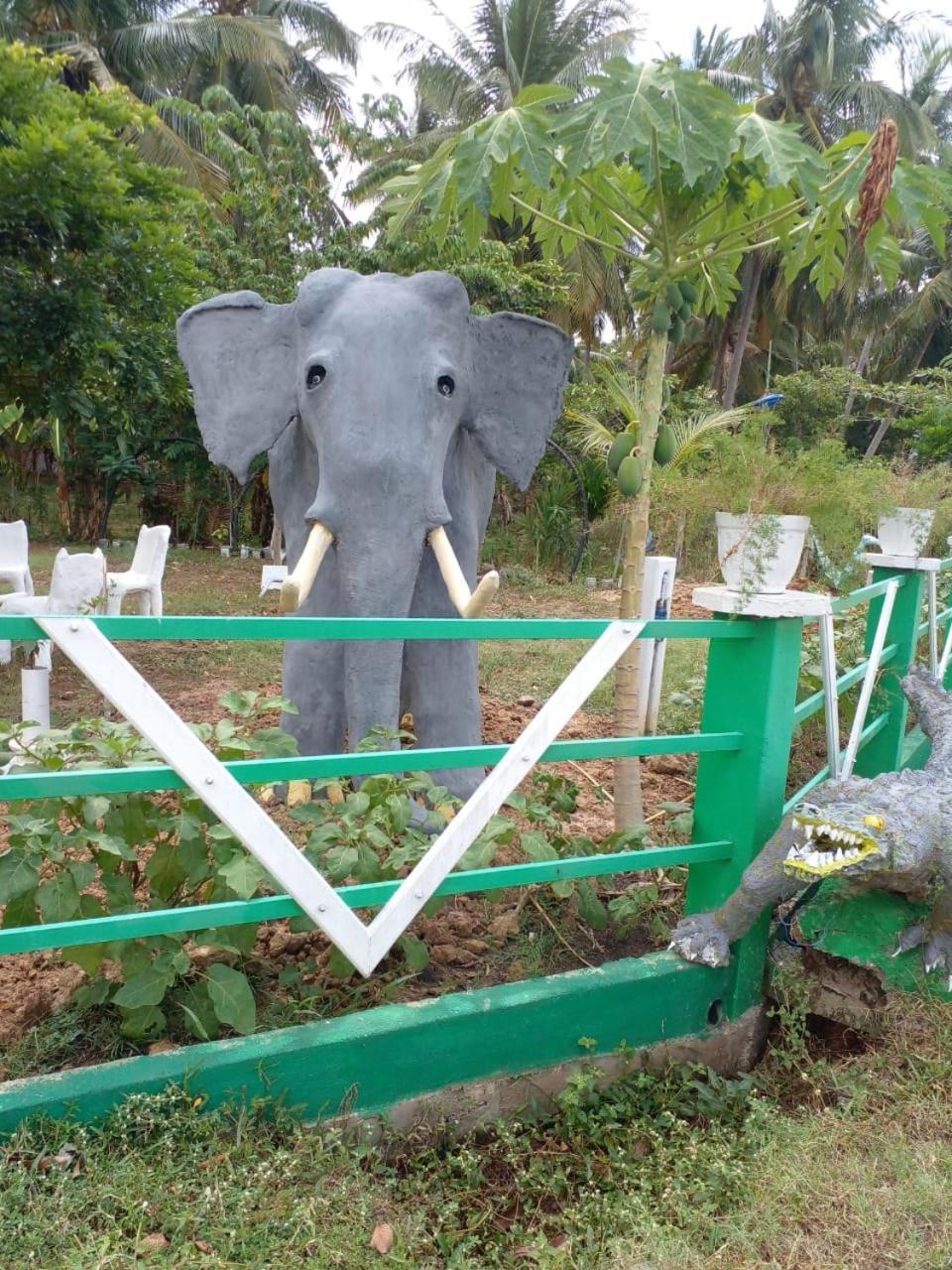 lake Edge Dambulla Bagian luar foto